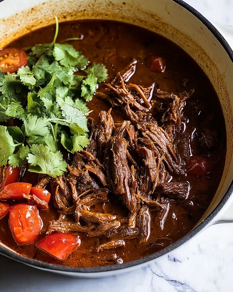 Coconut Red Curry Drip Beef Recipe - Recipe Image