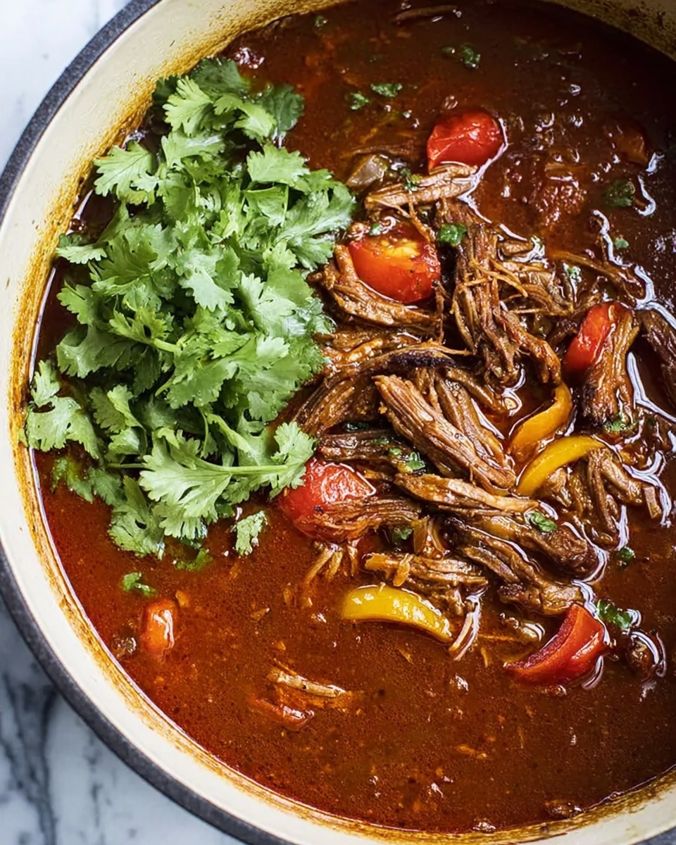 Coconut Red Curry Drip Beef Recipe - Recipe Image