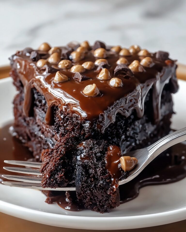 Slow Cooker Double Chocolate Peanut Butter Pudding Cake Recipe