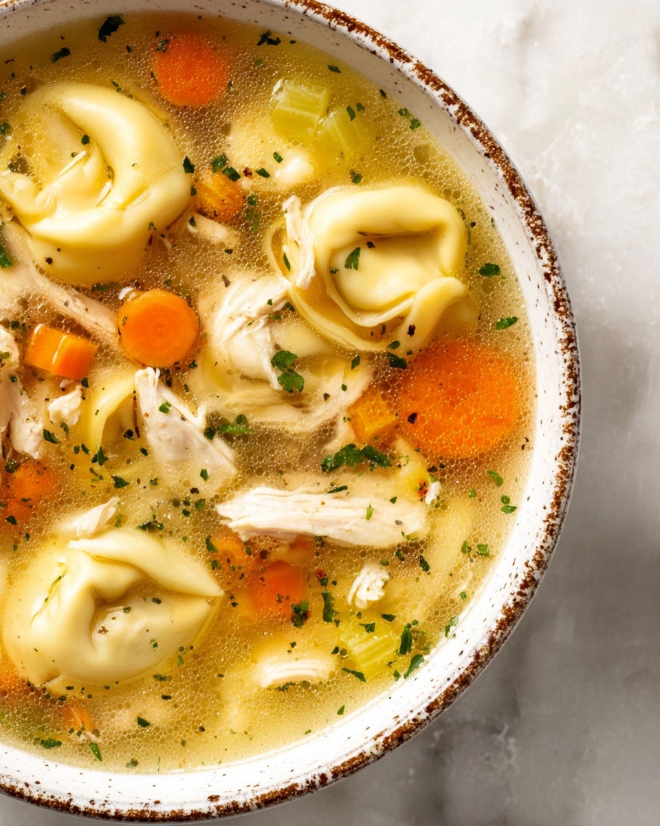 Easy Chicken Tortellini Soup Recipe - Recipe Image