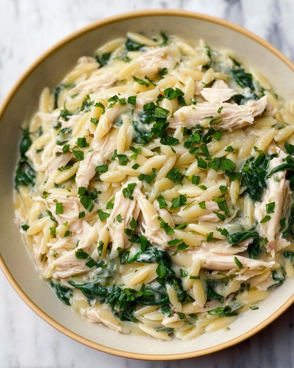 Boursin Orzo with Chicken Recipe - Recipe Image