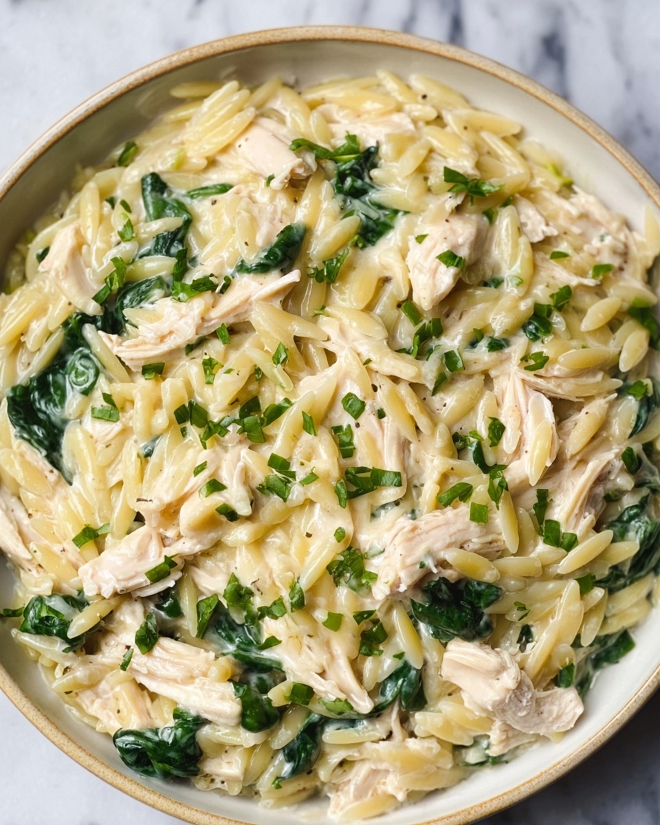 Boursin Orzo with Chicken Recipe - Recipe Image