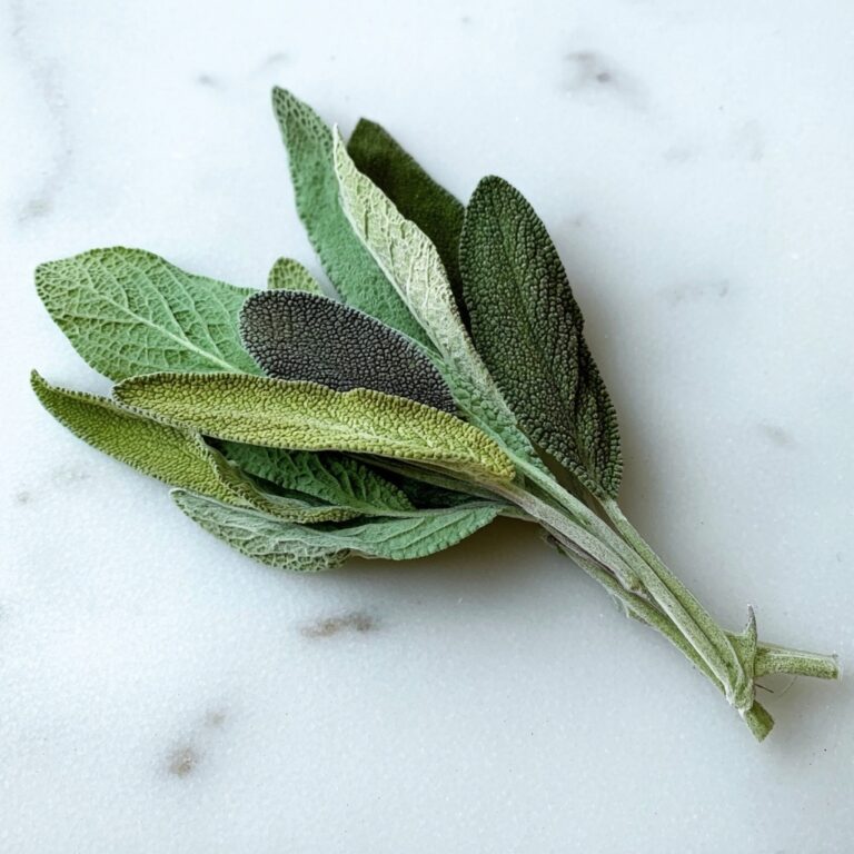 Crispy Sage Leaves Recipe