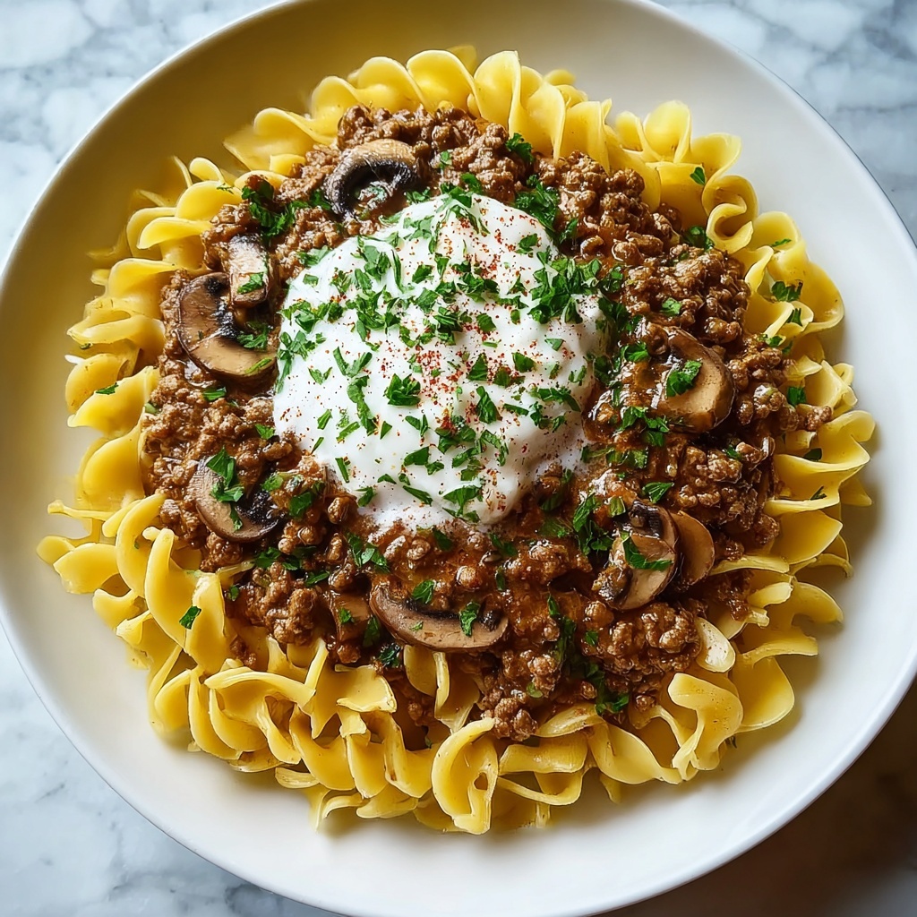 Ground Beef Stroganoff Recipe - Recipe Image