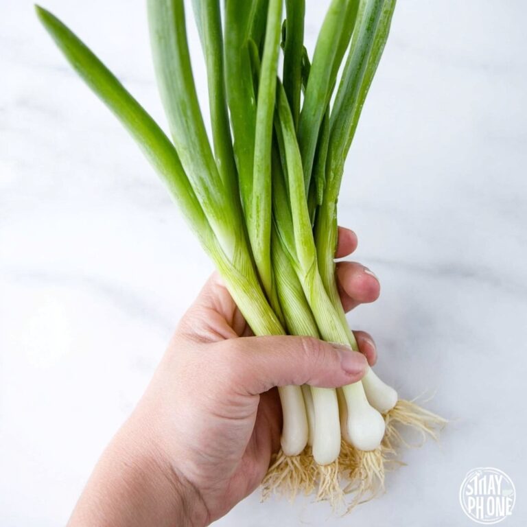 How to Store Green Onions Recipe